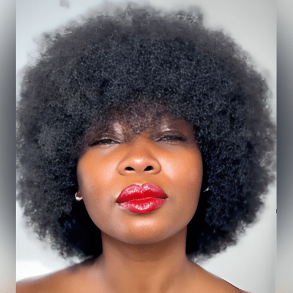 AILUXY Afro Curl Noir Courte Perruque 100% Cheveux Humains 2.0 Style afro chic