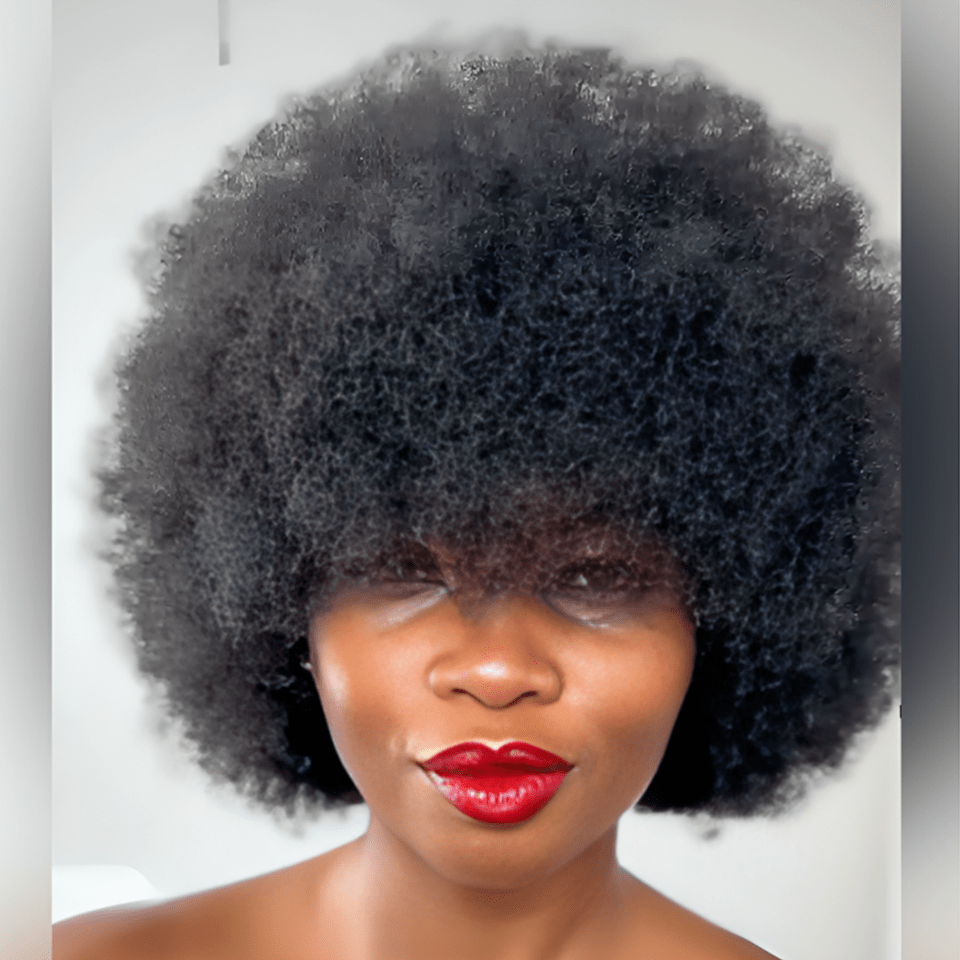 AILUXY Afro Curl Noir Courte Perruque 100% Cheveux Humains 2.0 Style afro chic