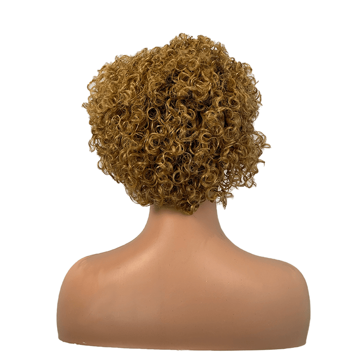 AILUXY T Part Lace Bouclé Noir Châtain 1B/27 Courte Perruque 100% Cheveux Humains