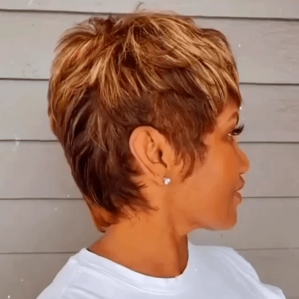 AILUXY Mieux Couleur Susan Perruque 100% Cheveux Humains Achetez une perruque et obtenez une perruque gratuite