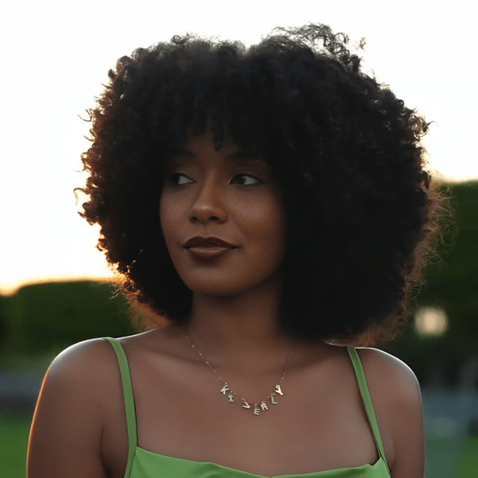 ailuxyhair-fr AILUXY 002 AILUXY Perruque personnalisée avancée afro curly 250% density perruques haute qualité