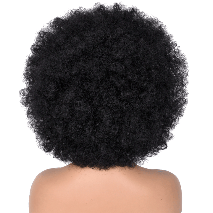 ailuxyhair-fr AILUXY Afro Curl Noir Courte Perruque 100% Cheveux Humains