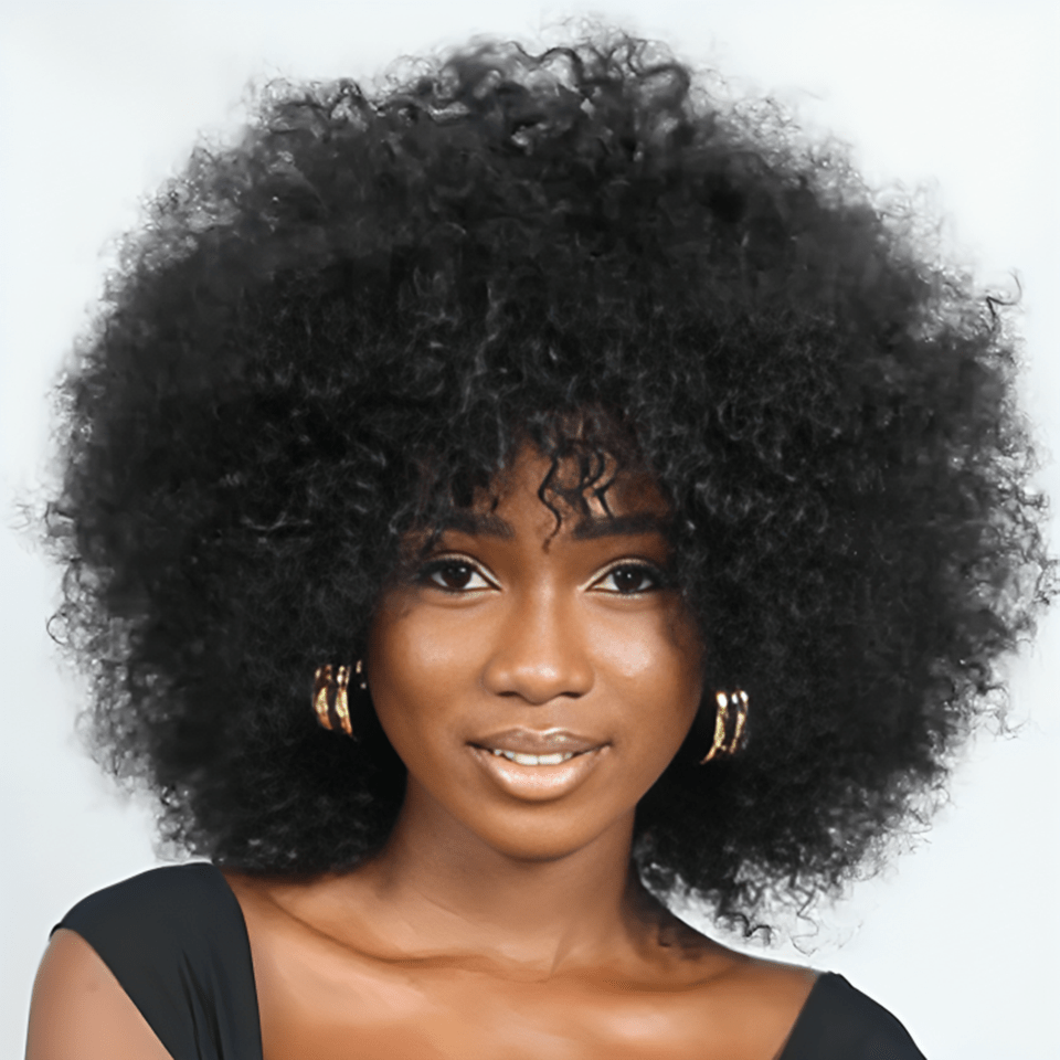 ailuxyhair-fr AILUXY Afro Curl Noir Courte Perruque 100% Cheveux Humains 2.0 Style afro chic
