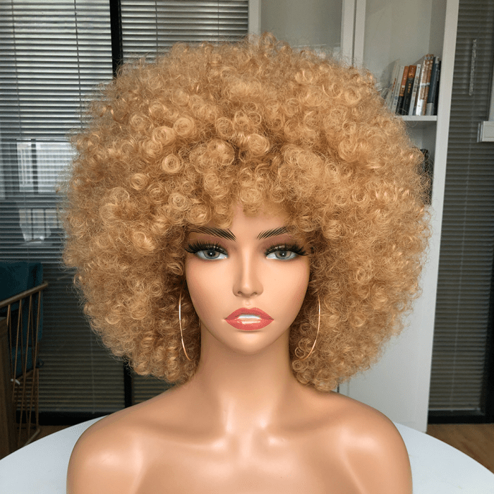 ailuxyhair-fr AILUXY Châtain Afro Curl Courte Perruque 100% Cheveux Humains