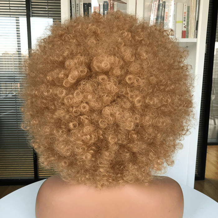 ailuxyhair-fr AILUXY Châtain Afro Curl Courte Perruque 100% Cheveux Humains