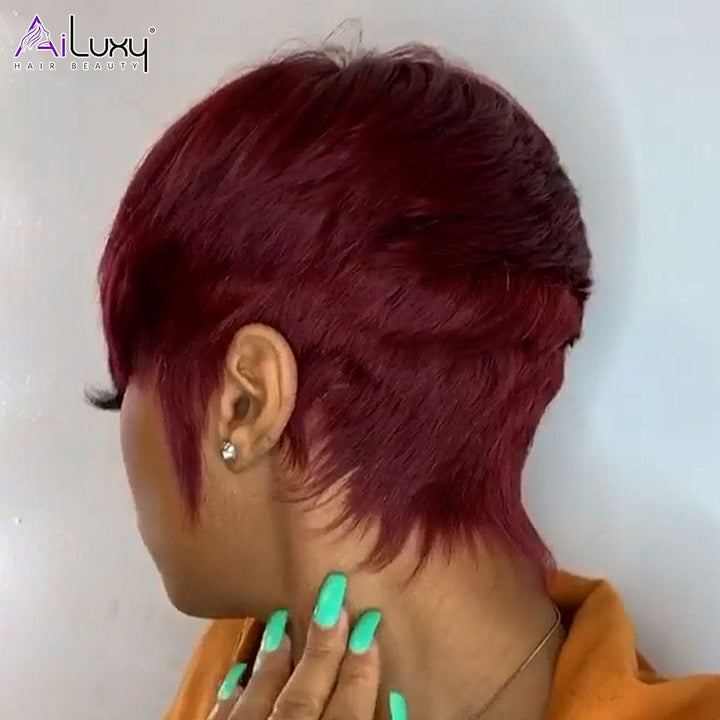 ailuxyhair-fr AILUXY Lisse Courte couleur 99J Perruque 100% Cheveux Humains comme sur la vidéo 2 - 3 jours reçus+Un beau cadeau