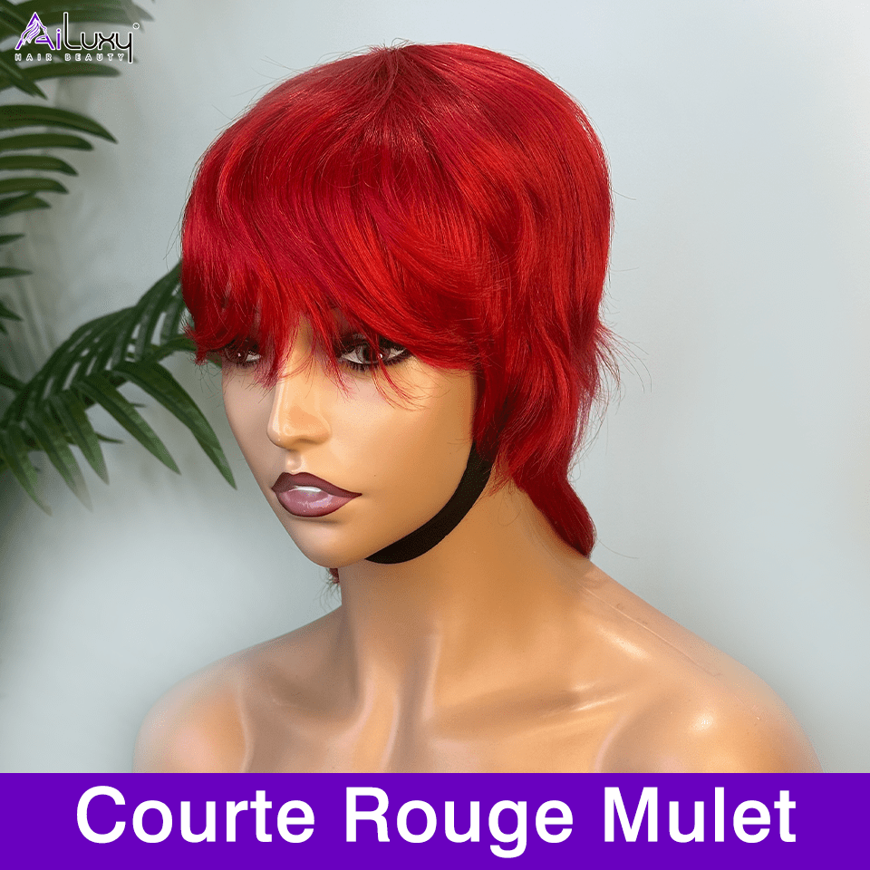 ailuxyhair-fr AILUXY Lisse Perruque 100% Cheveux Humains Perruque Rouge Barbie comme sur la vidéo