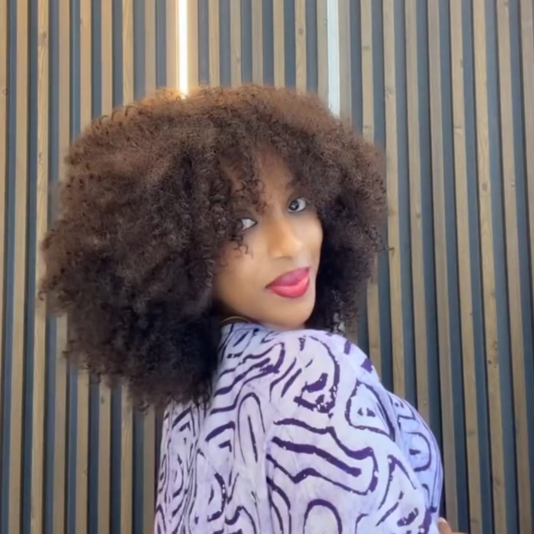 ailuxyhair-fr AILUXY Perruque Afro à Boucles Crépues Épaisses Volume Extrême  Style Bouclé Sauvage et Tendance, Conception Pratique à Enfiler, Idéale pour Sorties et Ocassions Spéciaux