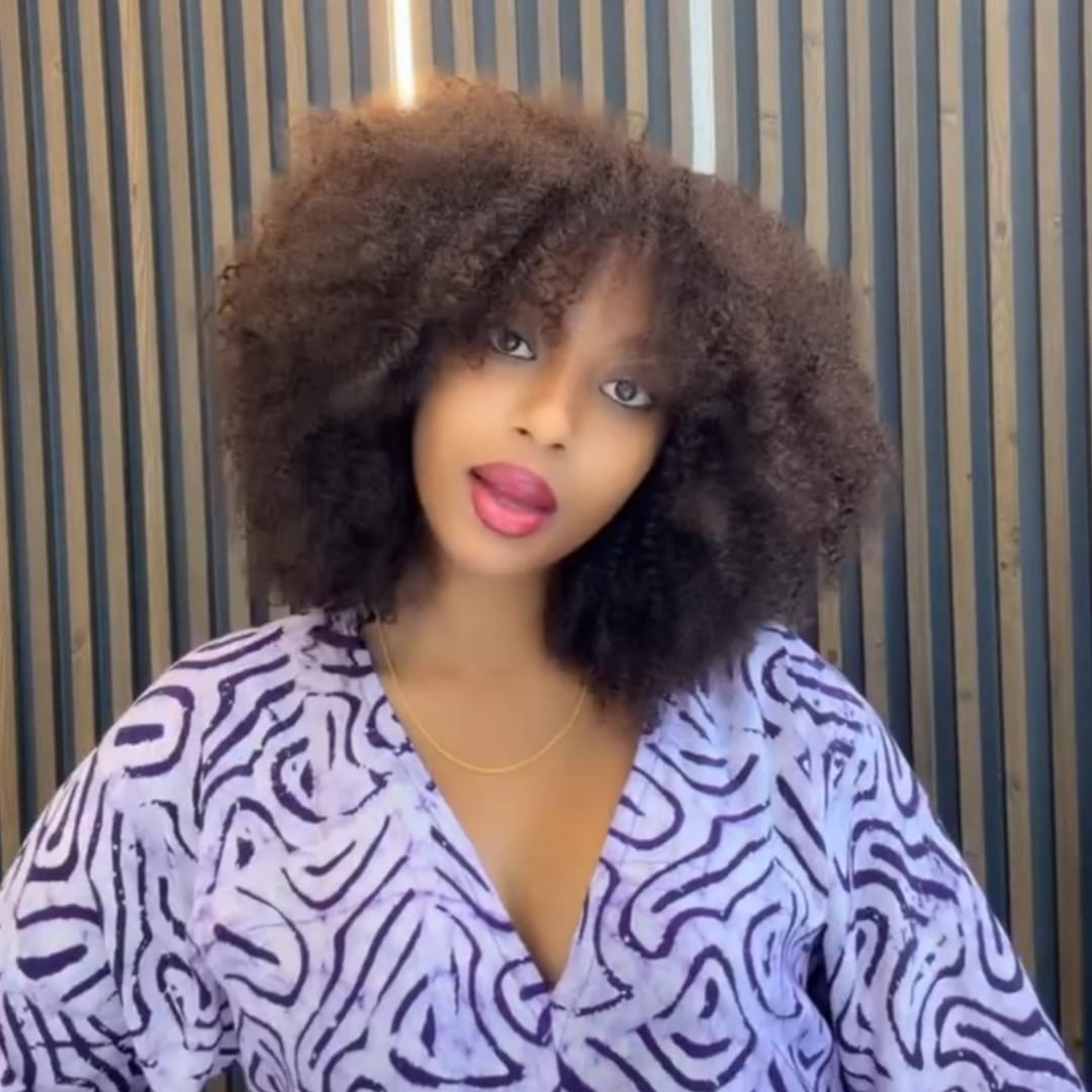 ailuxyhair-fr AILUXY Perruque Afro à Boucles Crépues Épaisses Volume Extrême  Style Bouclé Sauvage et Tendance, Conception Pratique à Enfiler, Idéale pour Sorties et Ocassions Spéciaux