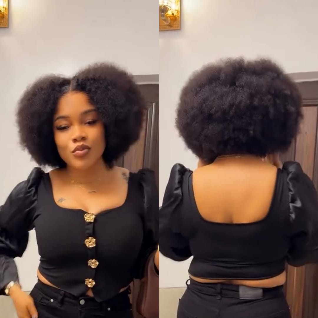 ailuxyhair-fr AILUXY Perruque Afro Curly Éclatante Et Valorisante| Volumax Pro Avec  Raie Au Milieu  Naturelle
