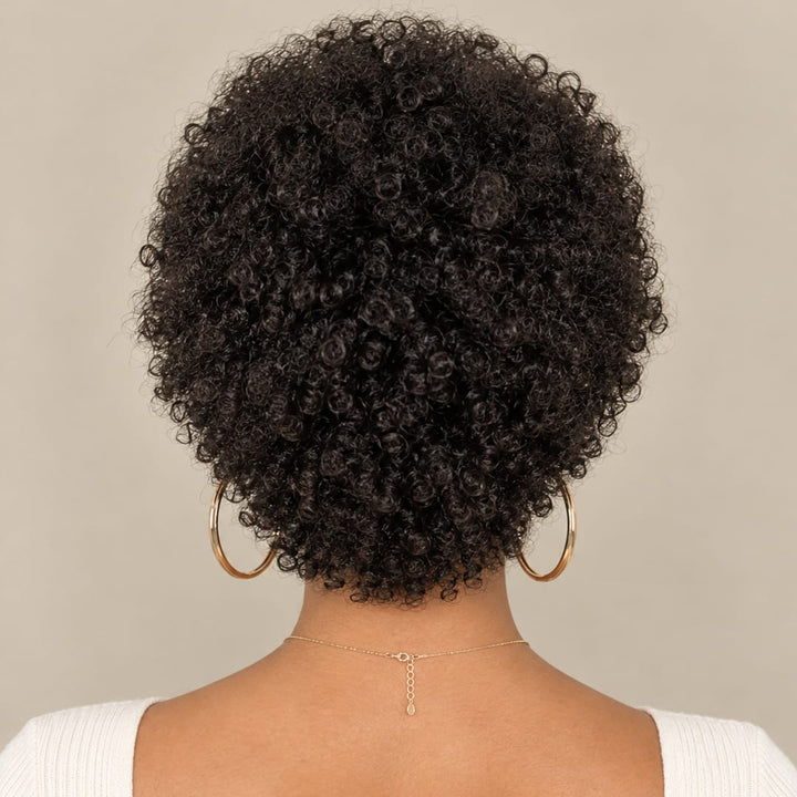 ailuxyhair-fr comme la photo AILUXY Perruque Mécanique Afro Curly  | Identique à la photo
