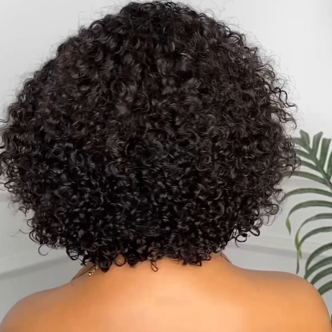 ailuxyhair-fr identique à l'image AILUXY Perruque Mi-Courte à Texture Frisée Souple, Boucles Rebondissantes, Coiffure Naturelle Sans Effort