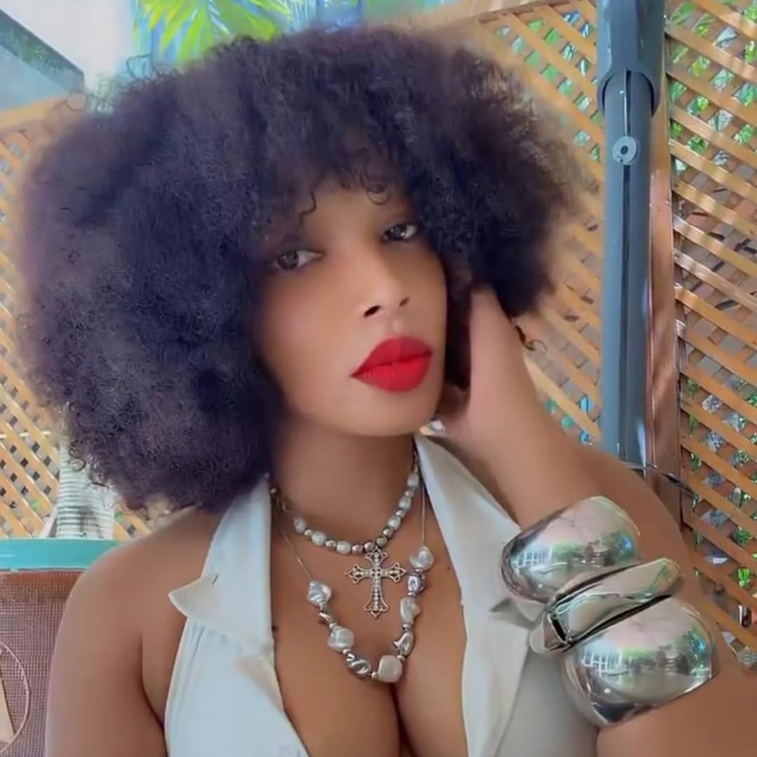 ailuxyhair-fr Identique à la photo AILUXY Perruque Afro Bouclée Parfaite｜Cheveux Crépus Naturels Sans Colle