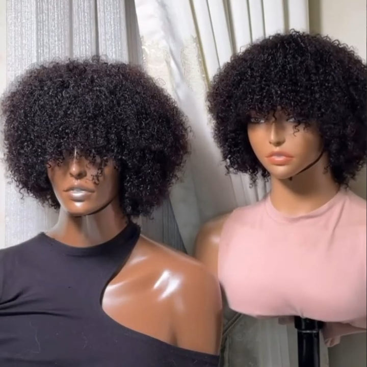 ailuxyhair-fr Identique à la photo AILUXY Perruque Courte Afro Curly Bouclée - Naturelle et Volumineuse