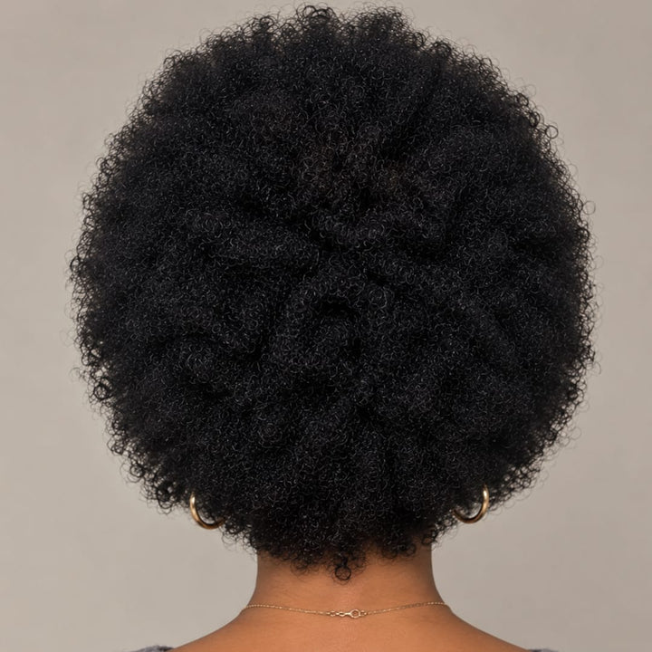 ailuxyhair-fr Perruque afro-africaine en dentelle frontale, cheveux naturels, pelucheux, bouclés, chenille, couverture de cheveux courts
