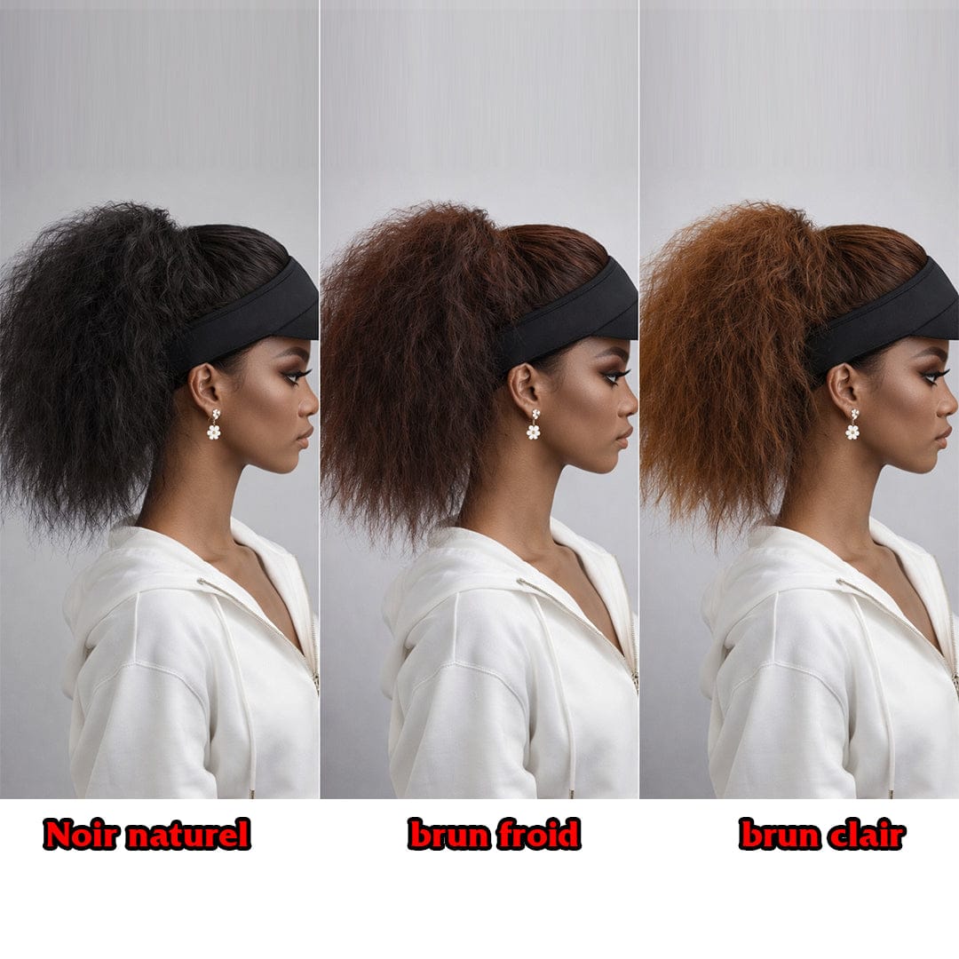 ailuxyhair-fr Perruque Combo AILUXY Perruque Queue de Cheval Crépue avec Casquette – Texture Bouffante, Noir Naturel / Brun Froid / Brun Clair