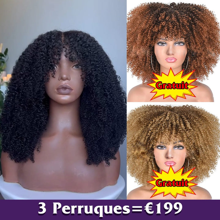 ailuxyhair-fr Perruque Combo Identique à la photo AILUXY 3 Perruques = €199 : Perruque Curly Afro 100% Cheveux Humains Naturelle + 2 Perruques Curly Blended Cadeaux | Identique à la Photo