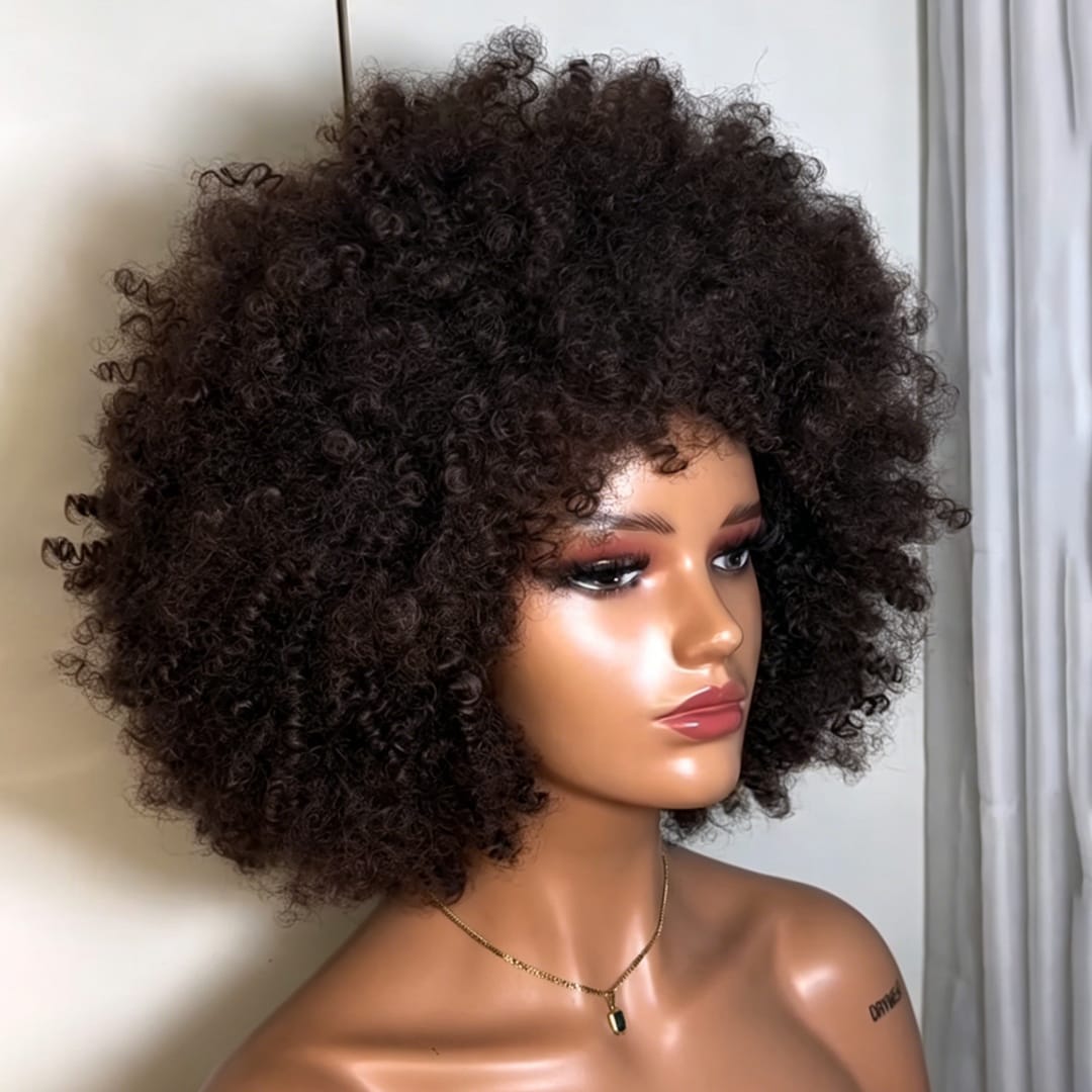 ailuxyhair-fr Sans Colle Comme à la photo 12 pouces AILUXY Perruque Bob Afro Kinky Bouclée Noire Volumnieuse –  Style Ultra-Naturel et Polyvalent