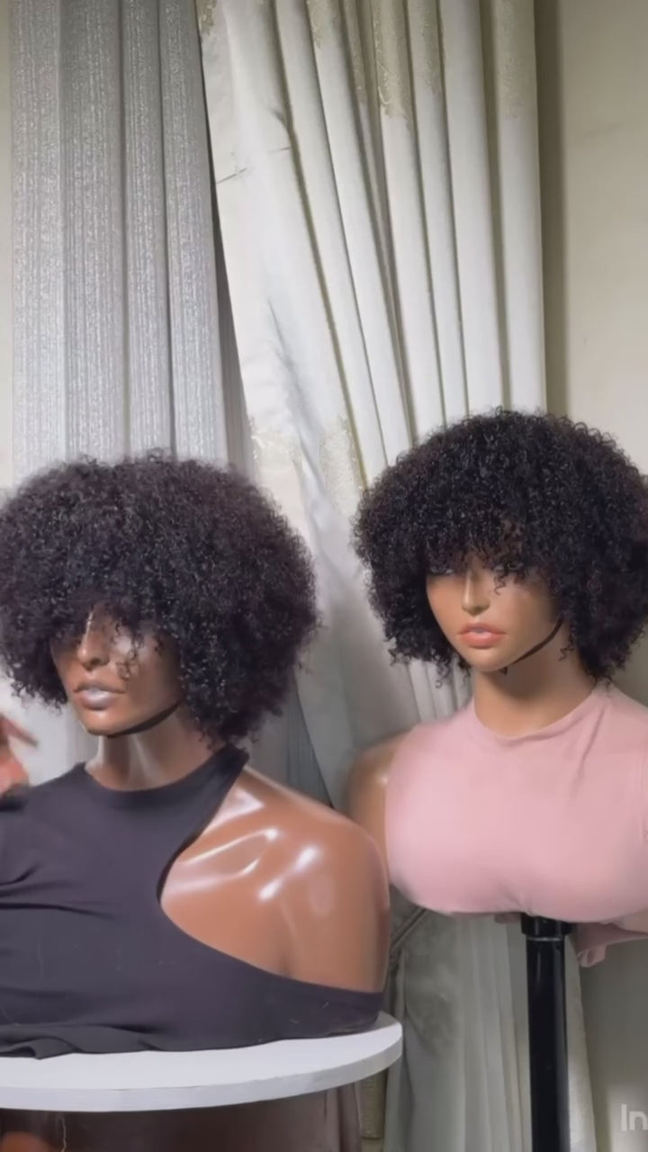AILUXY Perruque Courte Afro Curly Bouclée - Naturelle et Volumineuse