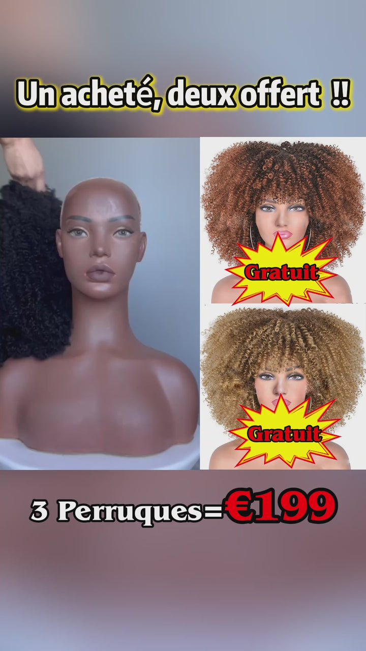 AILUXY 3 Perruques = €199 : Perruque Curly Afro 100% Cheveux Humains Naturelle + 2 Perruques Curly Blended Cadeaux | Identique à la Photo