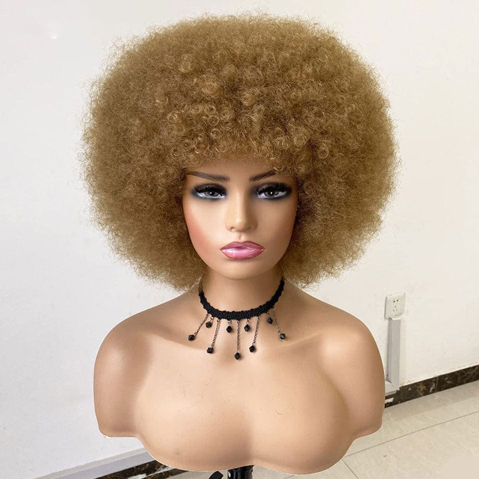 ailuxyhair-fr AILUXY Châtain Afro Curl Courte Perruque 100% Cheveux Humains